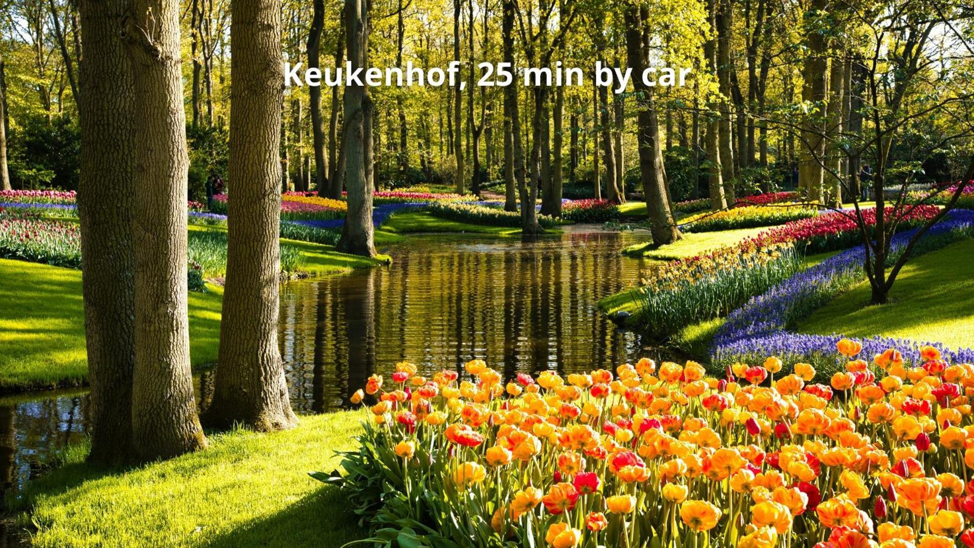 Boutique Hotel Herbergh Amsterdam Airport Free Parking Бадхуведорп Екстериор снимка